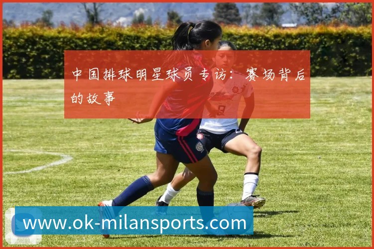 登录器 登录器