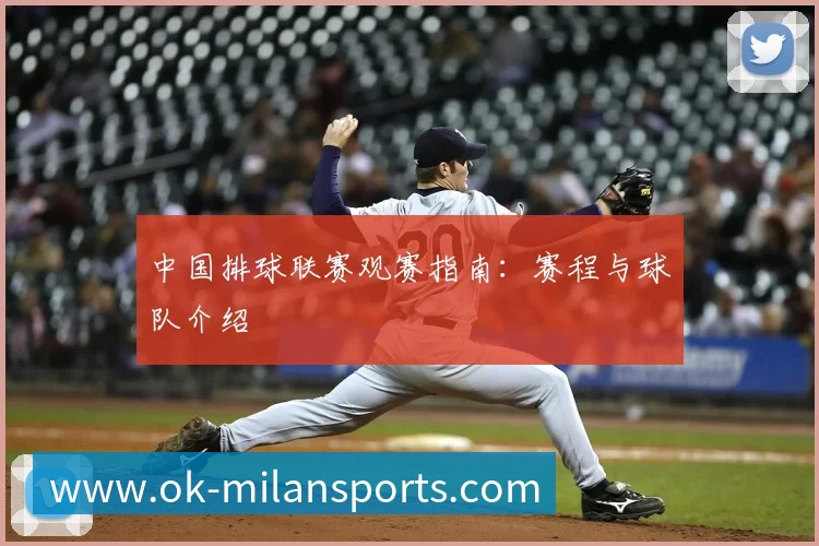 中国排球联赛观赛指南：赛程与球队介绍