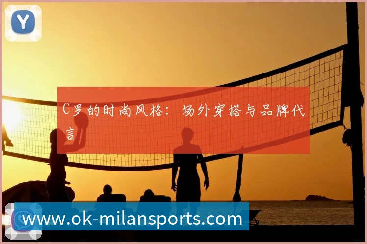 中国排球联赛观赛指南：赛程与球队介绍